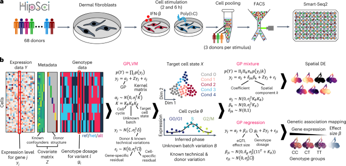 Fig. 1: Schematics of experiment and statistical analysis.
