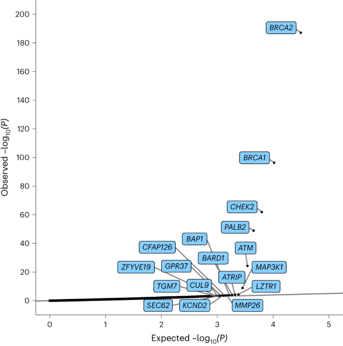 Fig. 2: Quantile–quantile plot of P values from the meta-analysis assessing the association between protein-truncating variant carriers and breast cancer risk.