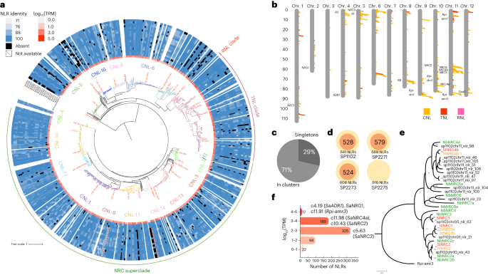 Fig. 2: Pan-NLRome of S. americanum.