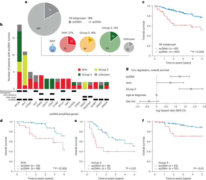 Fig. 1: The landscape of ecDNA in medulloblastoma patient tumors.