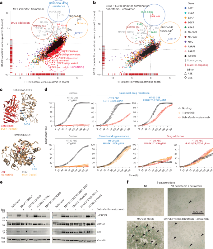 Fig. 2: Variants modulating drug sensitivity cluster into four functional classes.