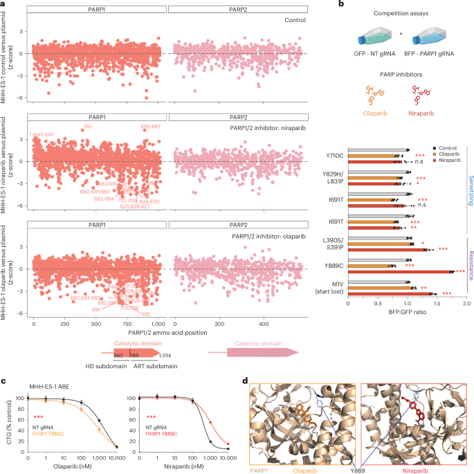 Fig. 4: Drug resistance and drug-sensitizing variants in PARP1.
