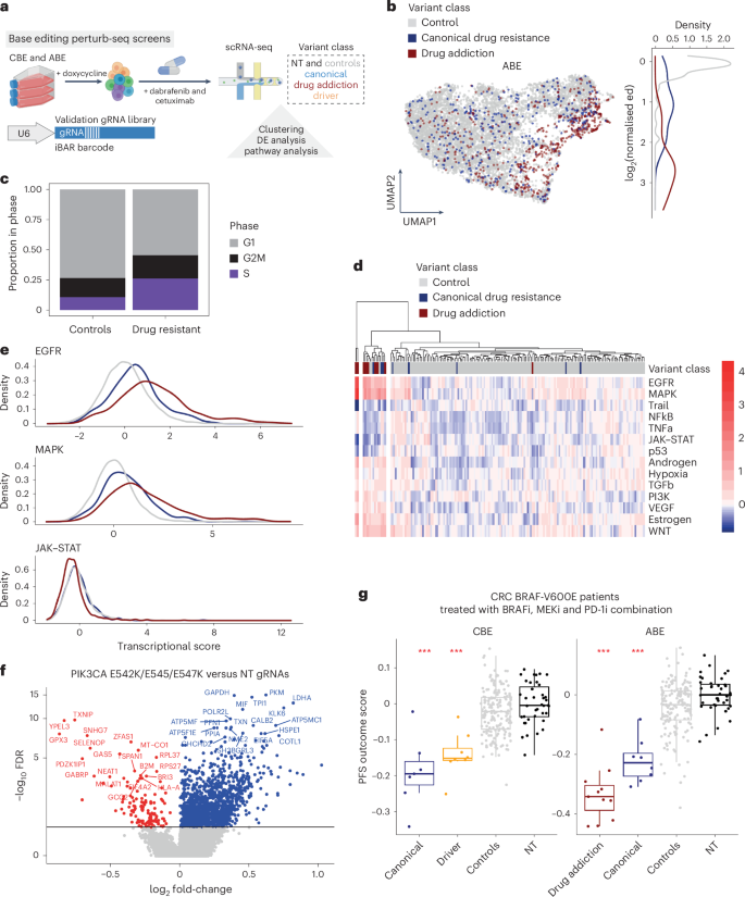 Fig. 7: Perturb-seq functionally defines drug-resistant cell states.