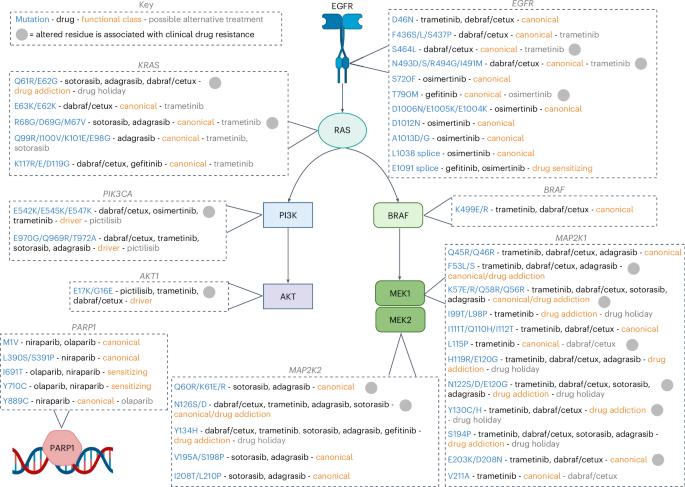 Fig. 8: A variant map indicates potential second-line therapies.