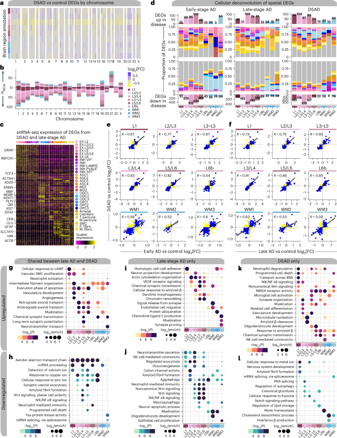 Fig. 2: Altered gene expression signatures among subtypes of AD.