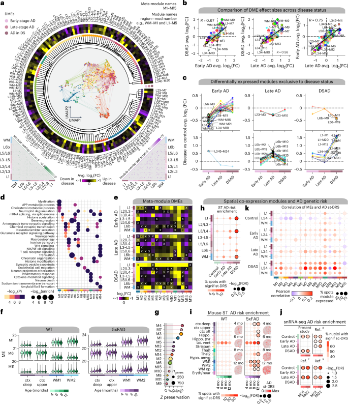 Fig. 3: System-level analysis of spatial gene expression programs.