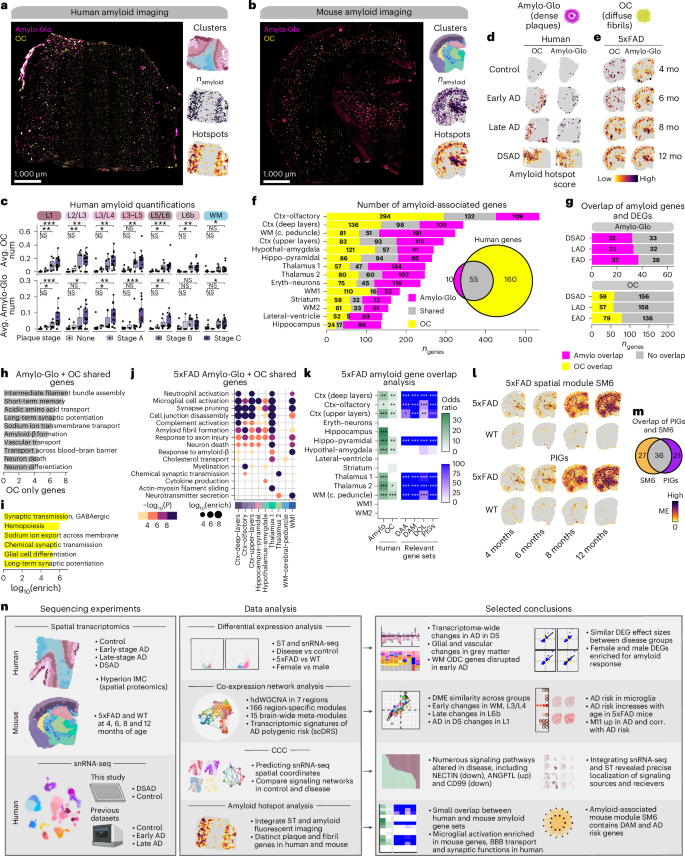 Fig. 7: Amyloid-associated gene expression signatures.