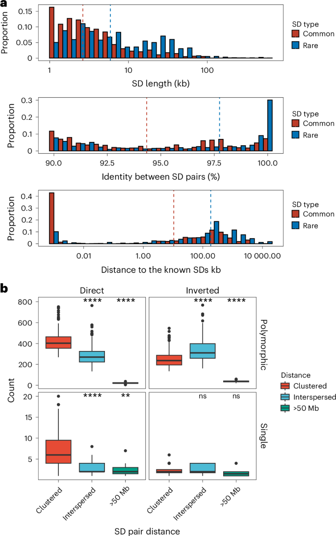 Fig. 3: Sequence properties of polymorphic versus rare SDs.