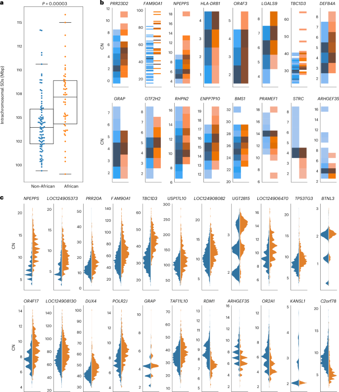 Fig. 6: African versus non-African SD copy number variation.