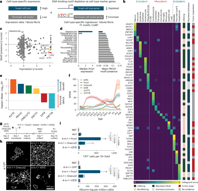 Fig. 1: Safeguard repressor screen.