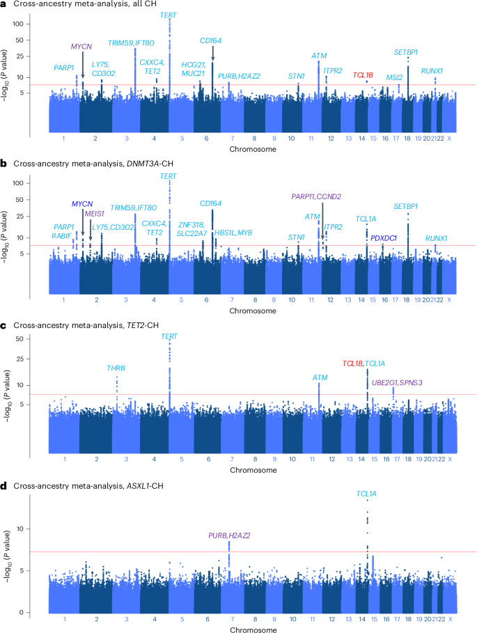 Fig. 5: Cross-ancestry GWAS meta-analysis of all CH and gene-specific CH in the MCPS and UKB.