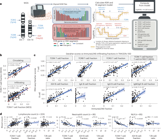 Fig. 1: Overview of ImmuneLENS and validation.