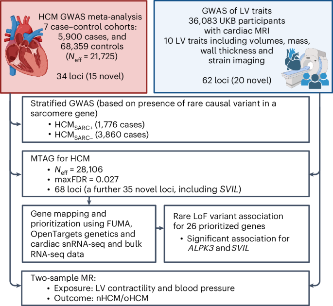 Fig. 1: Study flowchart.