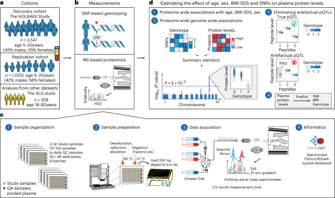 Fig. 1: Study overview and proteomics workflow.