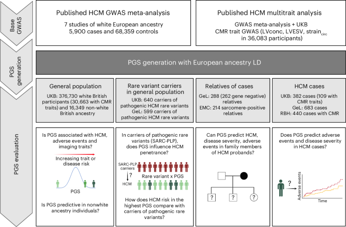 Fig. 1: Study overview.