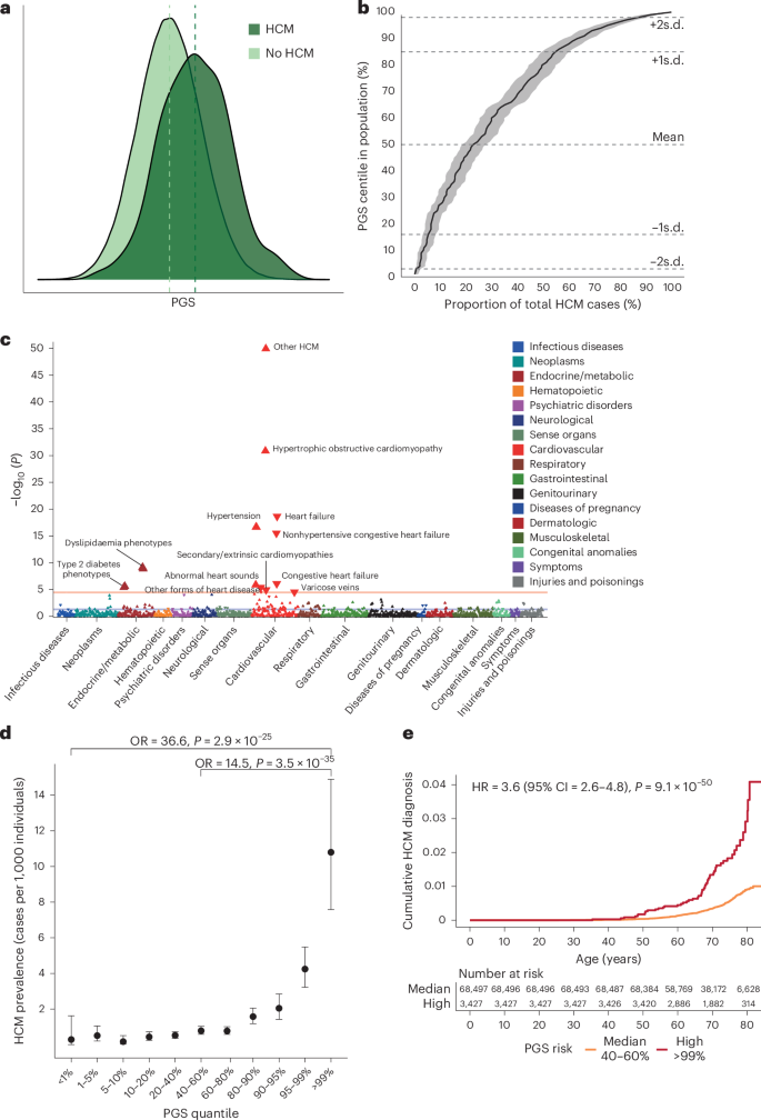 Fig. 2: HCM PGS is associated with HCM disease status in the UKB.