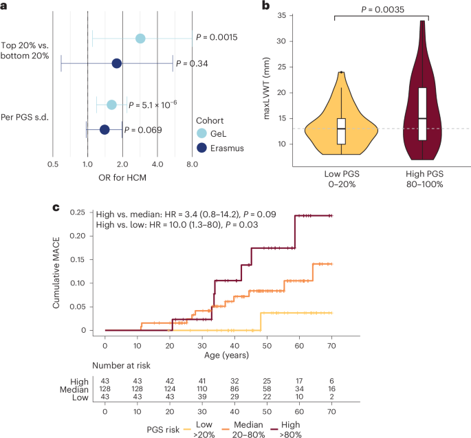 Fig. 4: PGS associate with HCM risk and adverse outcomes in relatives of HCM cases.