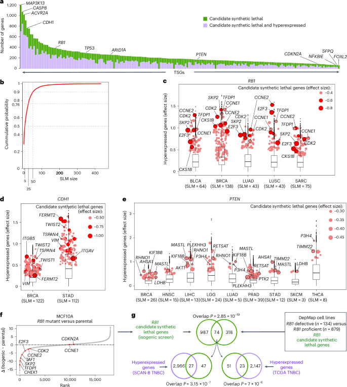 Fig. 2: Pan-cancer summary of SLMs and validation in an isogenic screen.