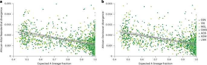Fig. 5: Relationship between human–archaic divergence and cobraa-path’s expected fraction of ancestry from the A lineage.