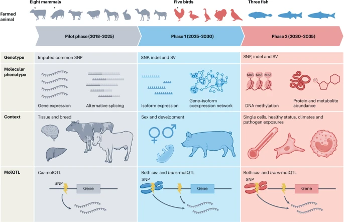 The Farm Animal Genotype–Tissue Expression (FarmGTEx) Project