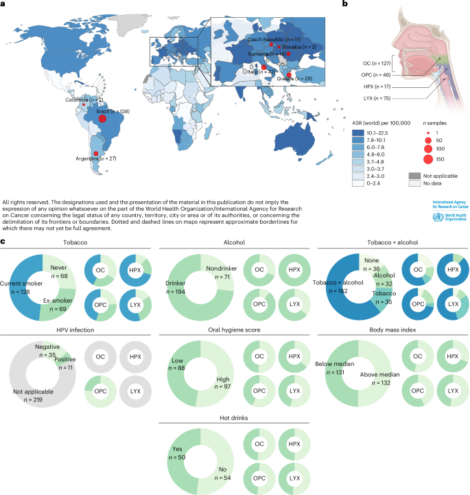 Fig. 1: HNC incidence and epidemiological characteristics.