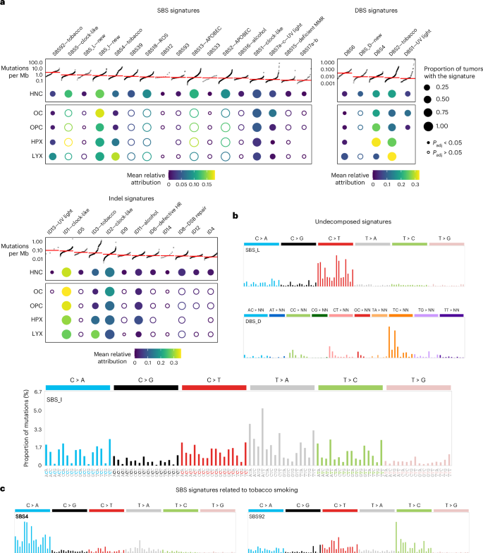 Fig. 2: Mutational signature landscape of HNC.