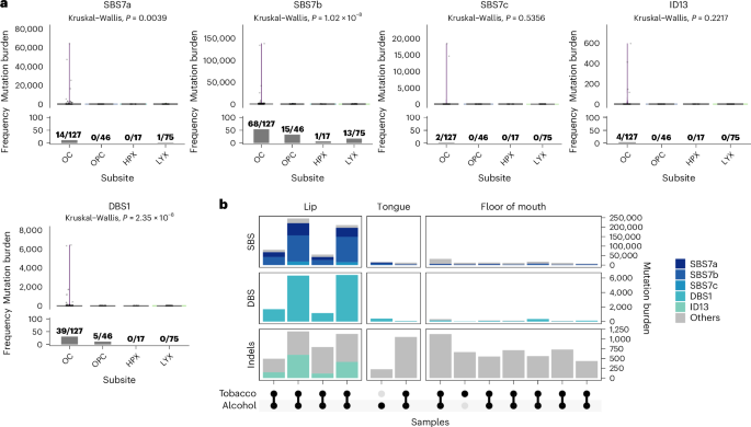 Fig. 6: UV-related signatures in HNC.