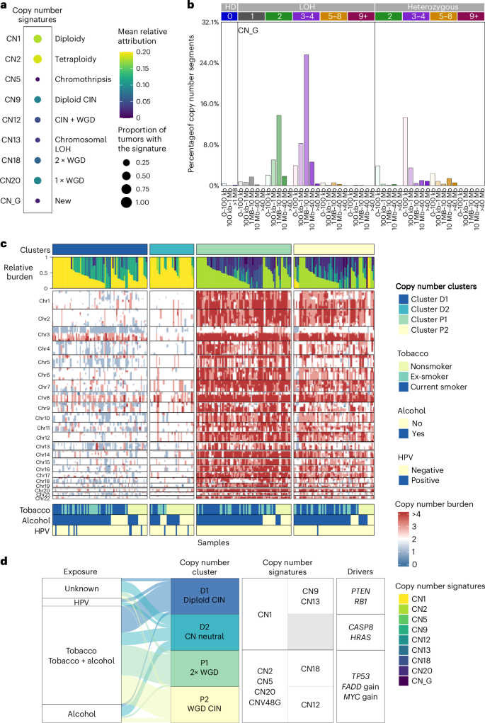 Fig. 7: Copy number profile and copy number signature analysis in HNC.