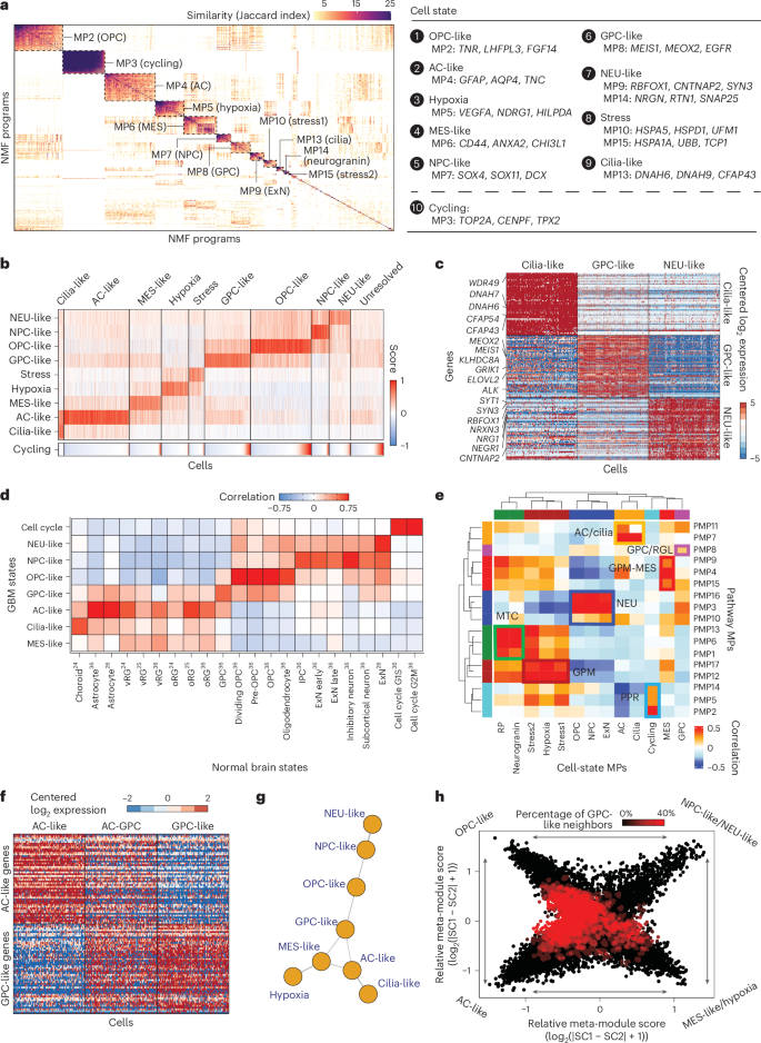 Fig. 2: Revisiting malignant state heterogeneity.