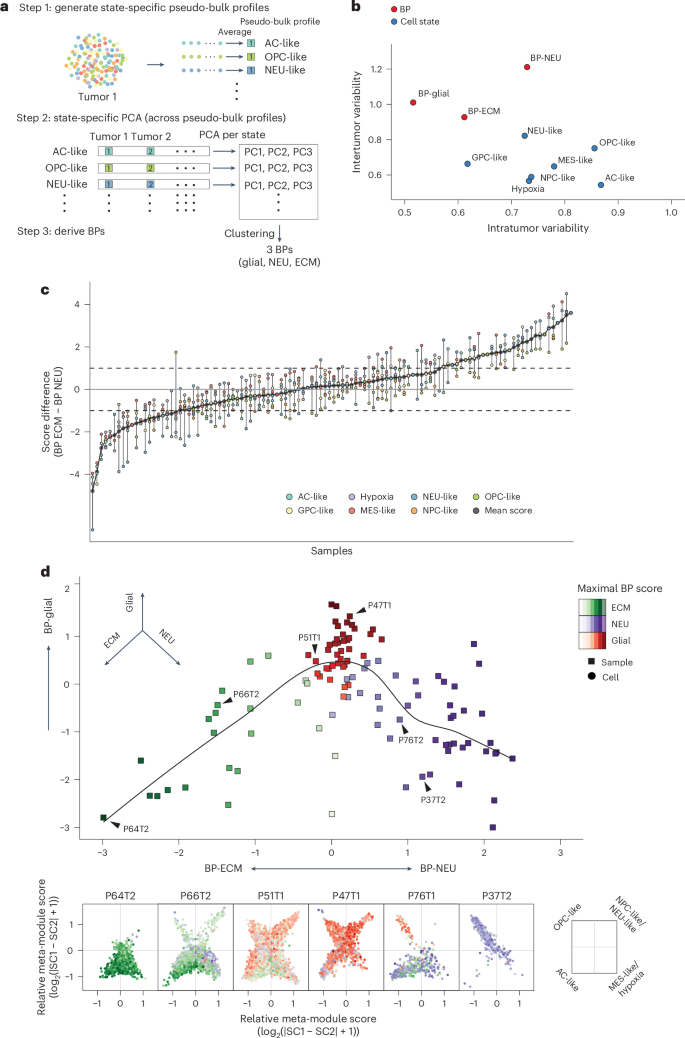 Fig. 3: BPs of intertumor heterogeneity.
