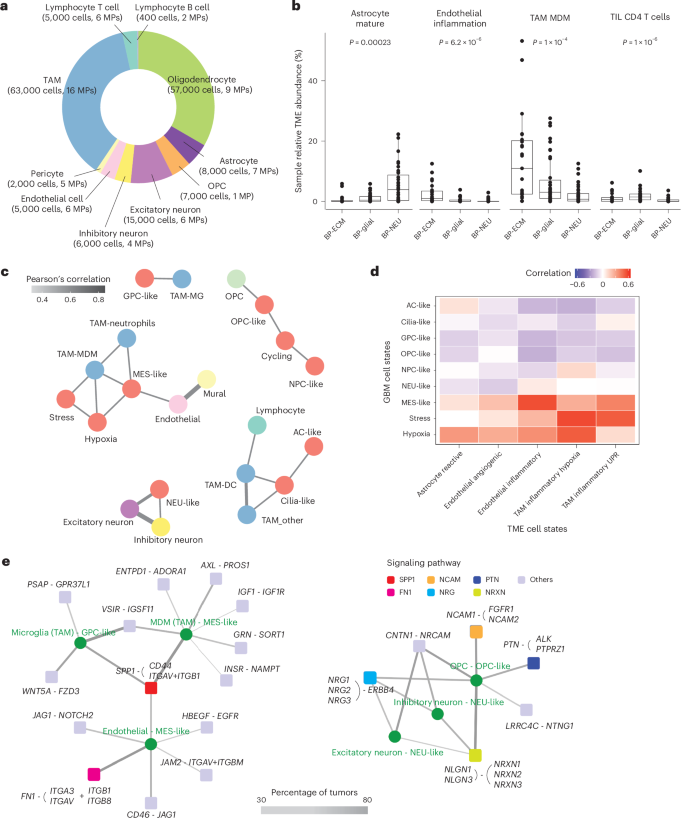 Fig. 4: Heterogeneity within the microenvironmental cell states.