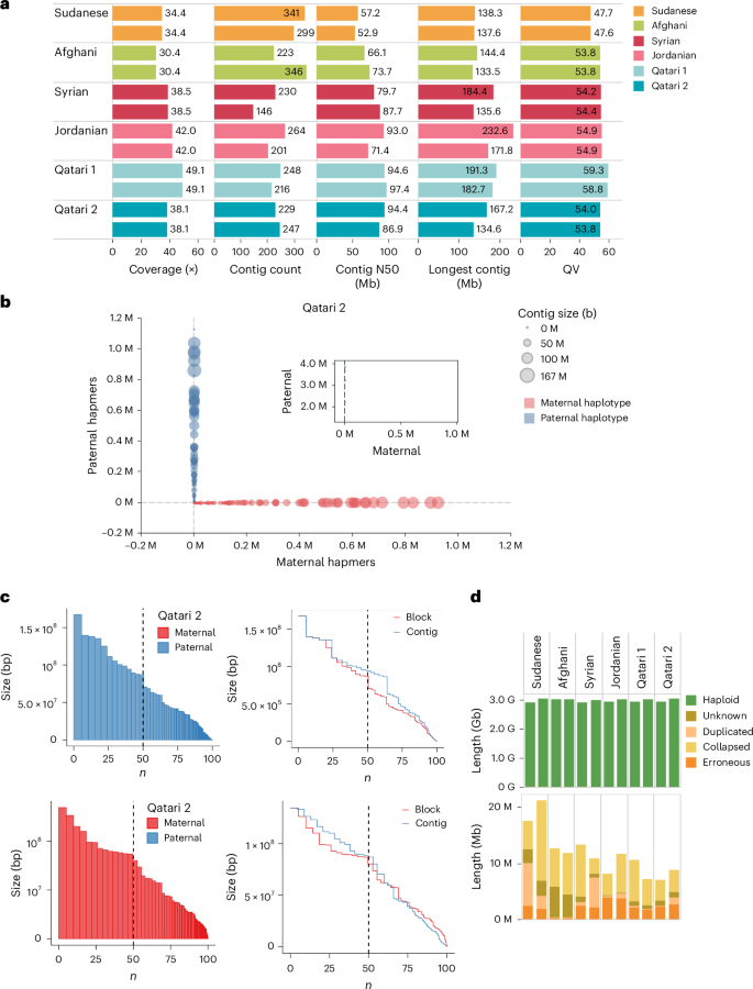 Fig. 2: Assembly, phasing results and QC.