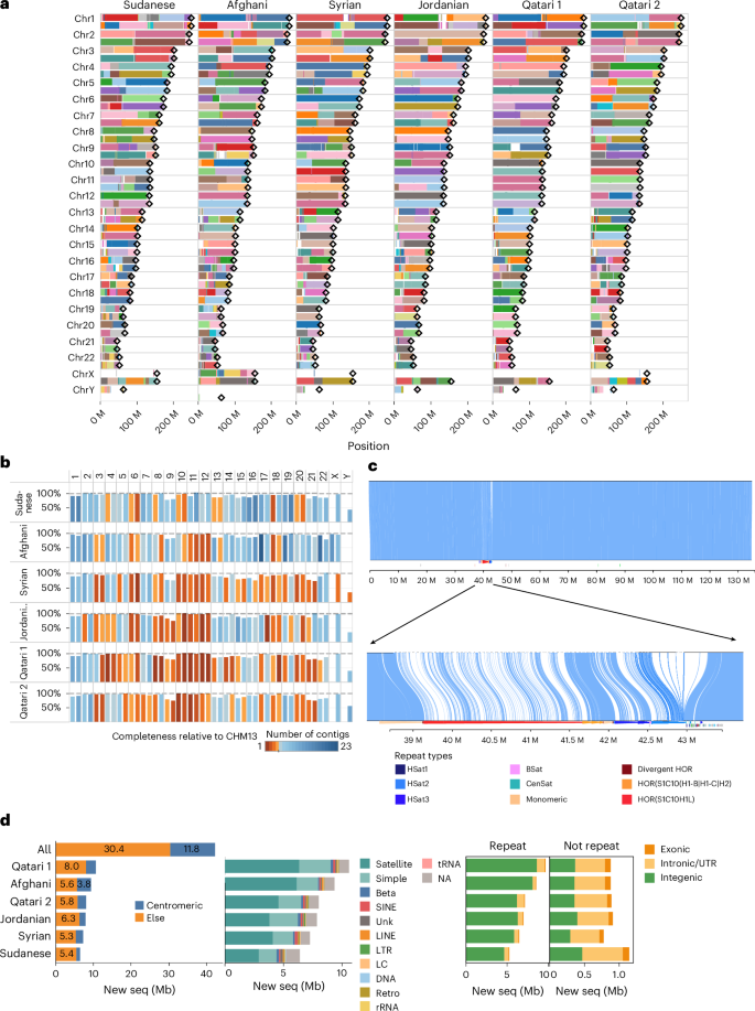 Fig. 3: Contiguity, haplotype alignment to CHM13 and new sequences.