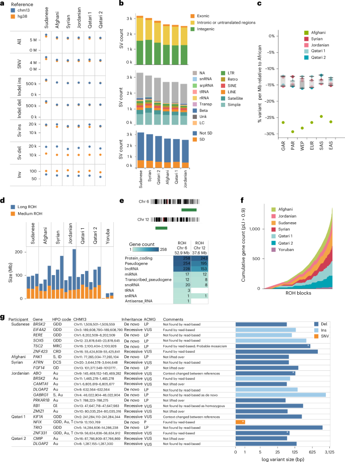 Fig. 5: Genetic variation, ROH and candidate disease-causing variants.