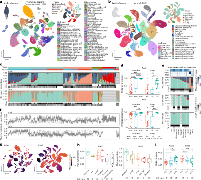 Fig. 2: Mapping organoid cell types to a primary tissue reference atlas to assess organoid fidelity.