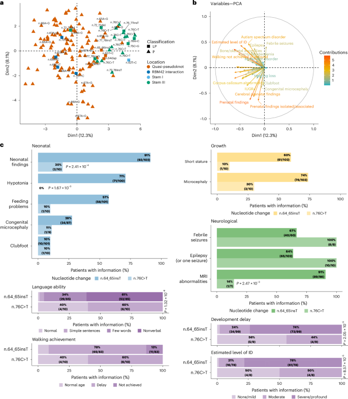 Fig. 3: RNU4-2 variants in the T-loop and stem III associate with different phenotype severity.
