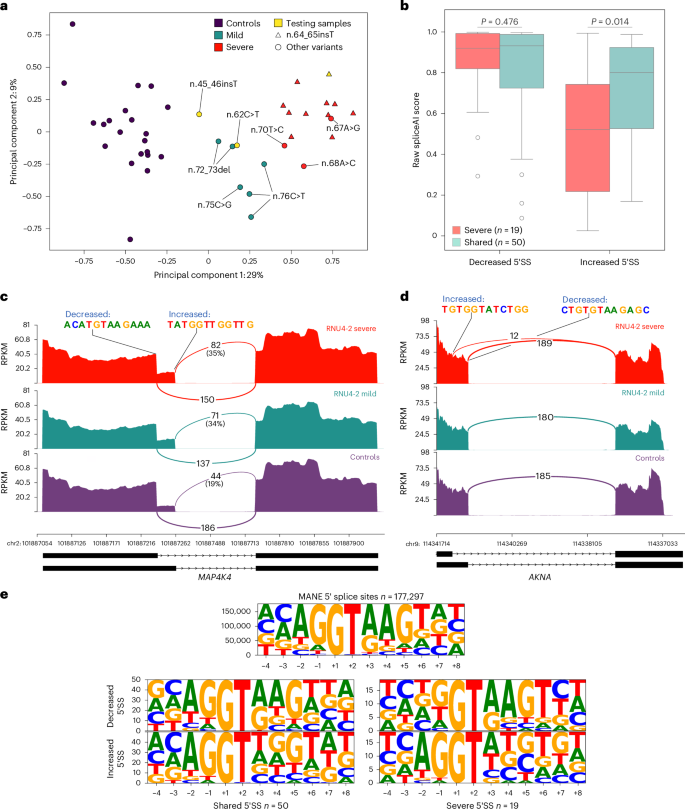 Fig. 6: RNA-seq identifies an alternative 5′SS signature that differentiates severe from mild RNU4-2-related phenotypes.