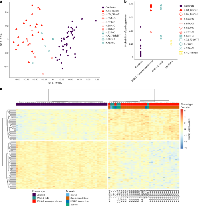 Fig. 7: Identification of an episignature that discriminates patients with ReNU syndrome from controls and correlates with phenotypic severity.