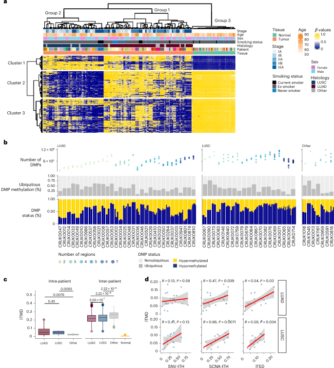 Fig. 1: Global DNA methylation landscape in the TRACERx lung cancer study.