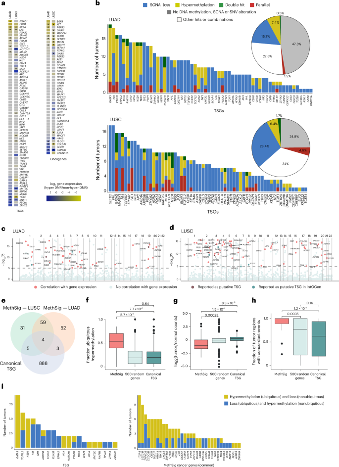 Fig. 2: Analysis of the impact of DNA methylation on driver gene expression.