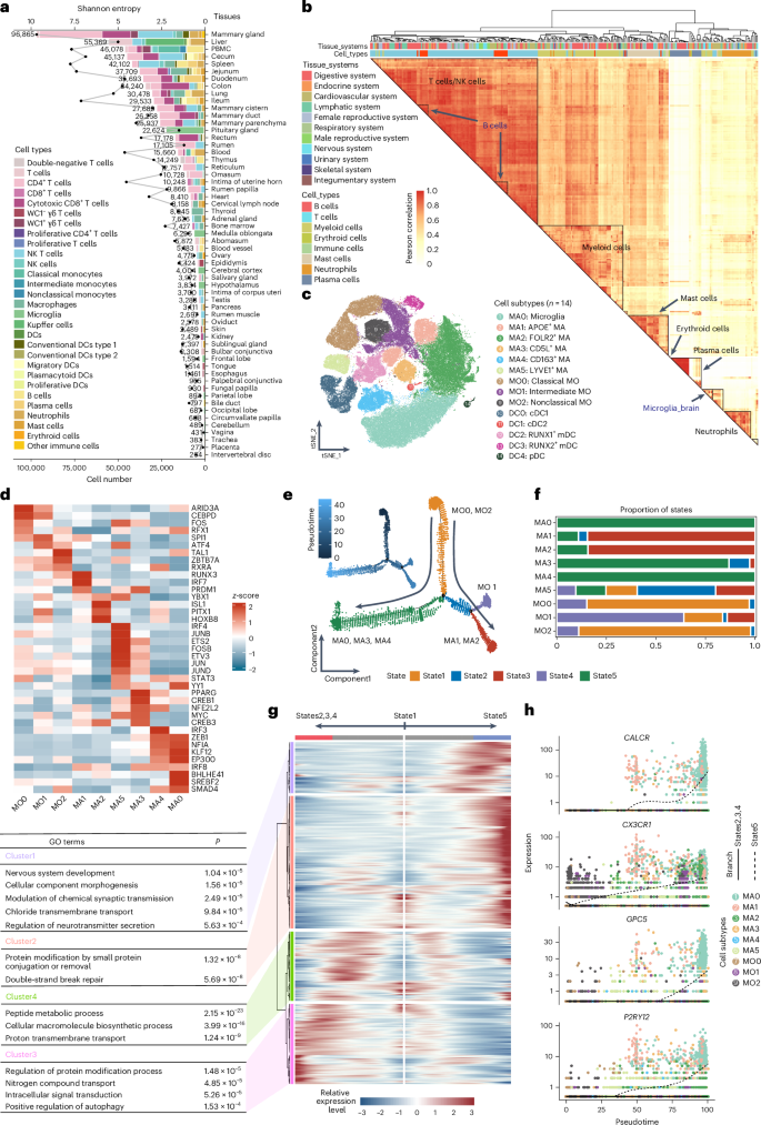 Fig. 3: Heterogeneity of immune cells across cattle tissues.