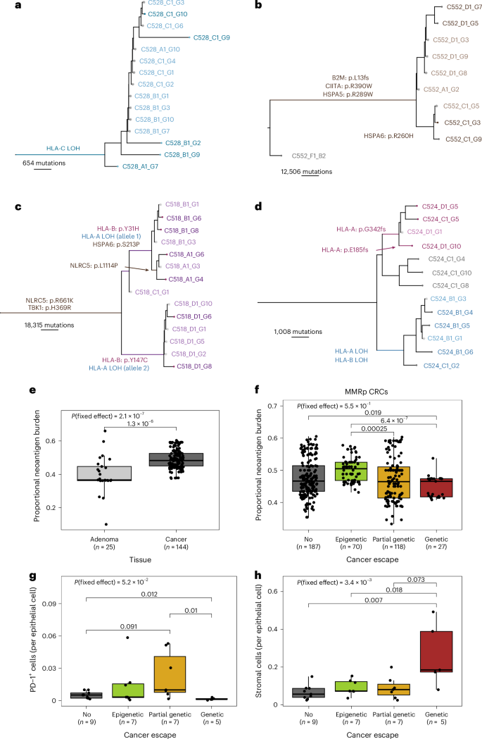 Fig. 4: Association between timing of immune escape, editing and exclusion.
