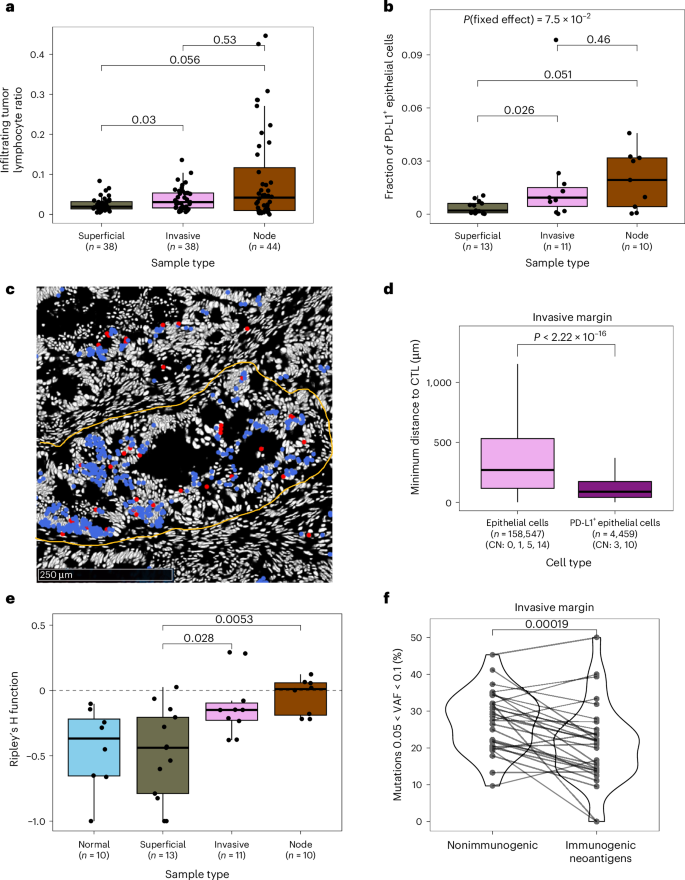 Fig. 6: Increased immune interaction and immuno-editing in the invasive margin.