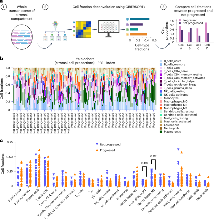 Fig. 5: Cell-type deconvolution of stromal compartment transcriptomic data and orthogonal validation of cell-type signatures.