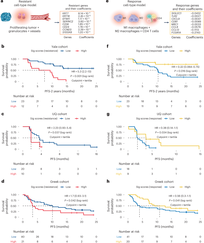 Fig. 6: Cell-to-gene signatures using DSP-GeoMx WTA data for resistance and response.