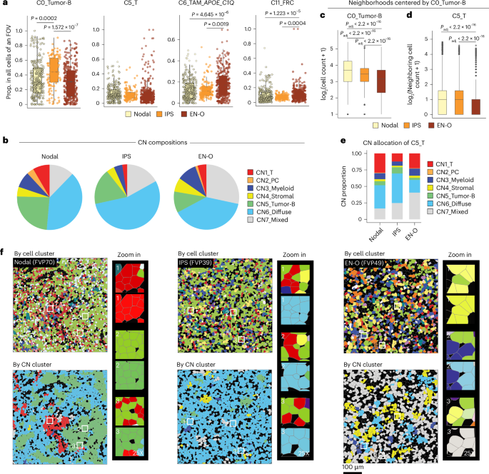 Fig. 6: Spatially resolved cellular landscape of B cell lymphoma developed in different anatomical sites.