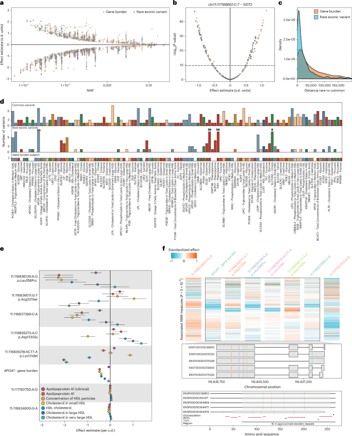 Fig. 4: Rare coding variation associated with NMR measures and convergence with common variant associations.