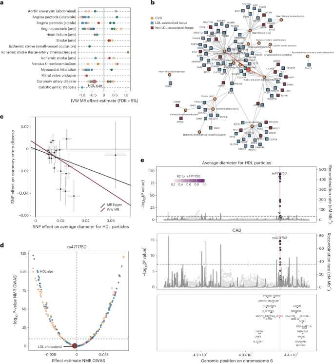 Fig. 5: Genetic prioritization to target residual cardiovascular risk.