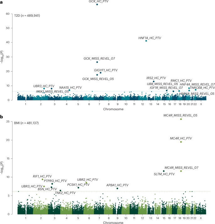 Fig. 1: Genome-wide multi-ancestry gene-burden test for T2D and BMI in UKBB.