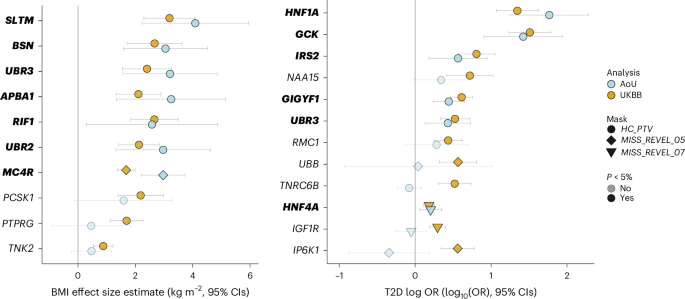 Fig. 2: Discovery and replication of significant associations with BMI and T2D in UKBB and AoU.